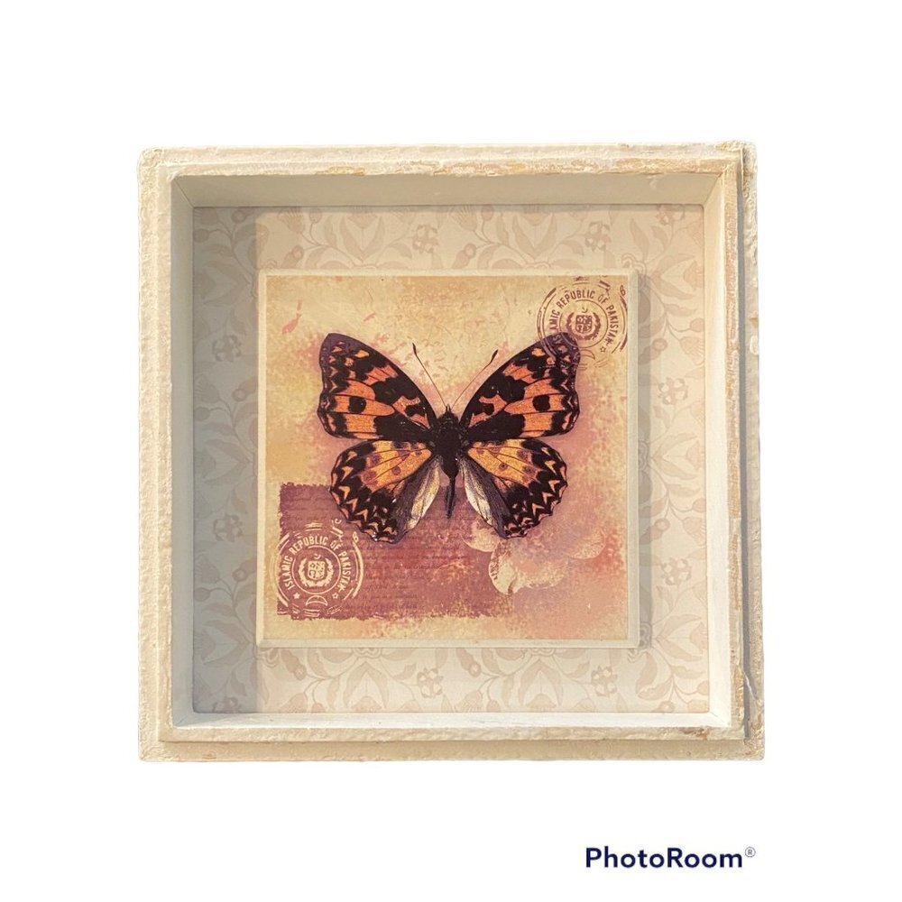 Butterfly picture print in 5 x 5 frame